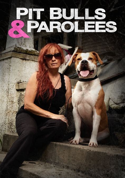 pitbulls and parolees watch online.